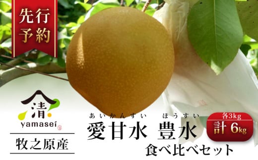 梨 食べ比べセット 愛甘水 豊水 各3kg 予約受付 7月中旬より順次発送  フルーツ なし ほうすい あいかんすい 果物 安心 おいしい 国産 山清 yamasei 静岡県 牧之原市