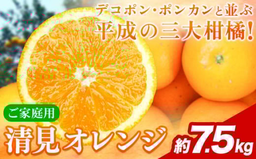 【ご家庭用訳アリ】 紀州有田産清見オレンジ 約7.5kg 株式会社魚鶴商店《2026年3月下旬-4月中旬頃出荷》 和歌山県 日高川町 オレンジ 柑橘 ご家庭用 フルーツ