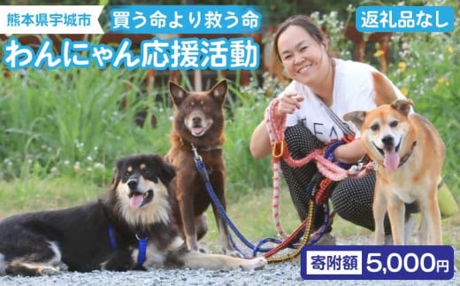 【返礼品なし】 動物支援 動物保護 保護犬 保護猫 犬猫支援 里親支援 寄付 支援 寄附金 愛護活動 ペット 犬 猫 動物 地域支援 買う命より救う命 熊本県 宇城市 わんにゃん応援活動 5,000円