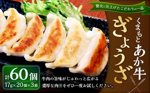 熊本和牛 あか牛ぎょうざ 60個（あか牛ぎょうざ20個入り×3箱） 餃子 和牛 国産 九州産 惣菜 冷凍 熊本県 湯前町