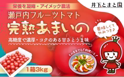 井下とまと園の完熟 フルーツトマト 約3kg 果物類 野菜 