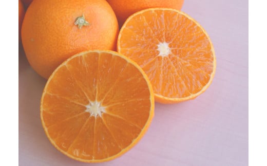 【先行予約】紅華（生果）約5kg （2025年12月上旬より順次発送） 【 ふるさと納税 人気 おすすめ ランキング みかん ミカン 蜜柑 紅華 フルーツ 果物 産地直送 ニュウズ 愛媛県産 愛媛県 伊方町 送料無料 】 IKTF015