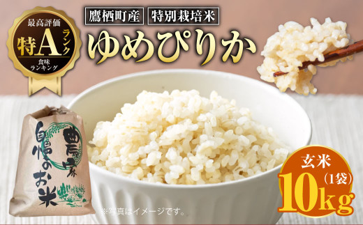 【令和7年産】ゆめぴりか（玄米）特Aランク 10kg 北海道 鷹栖町 たかすのおむすび 米 コメ ご飯 玄米 お米 ゆめぴりか 【2025年9月下旬より発送予定】 2112073 - 北海道鷹栖町