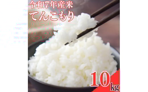 <令和7年産米>てんこもり10kg【1623582】 2113233 - 大分県日出町