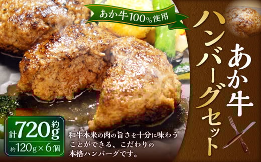 あか牛100％ ハンバーグセット（あか牛ハンバーグ 120g×6個）合計720g 和牛 国産 九州産 惣菜 冷凍 熊本県 湯前町