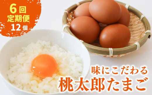 【6回定期便】タマゴ好きにはたまらない  桃太郎たまご 6個入り×2セット | 定期便 毎月 たまご 卵 鶏卵 たまごかけごはん たまごかけ TKG ブランド おいしい 高級 人気 おすすめ 高知県 南国市