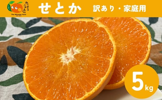 せとか（施設・露地）5kg  ご家庭用 訳あり レッスルファーム みかん 愛媛【2026年1月下旬順次発送】先行予約 数量限定 おすすめ 美味しい おいしい グルメ フルーツ くだもの 愛媛県産 人気 柑橘 伊予市｜B420