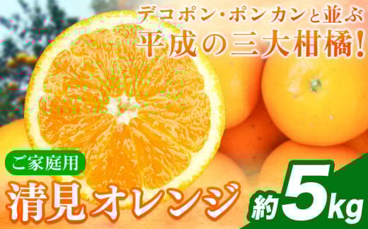 【ご家庭用訳アリ】 紀州有田産清見オレンジ 約5kg 株式会社魚鶴商店《2026年3月下旬-4月中旬頃出荷》 和歌山県 日高川町 オレンジ 柑橘 ご家庭用 フルーツ