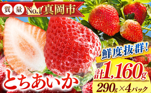 鮮度抜群 とちあいか 2箱 (290g×4) 1160g  |  選べる 容量 2箱 日本一 産地 大粒 冬 味覚 いちご 苺 イチゴ ストロベリー 大きい  ハート 美味しい 果汁 ジューシー 甘い あまい 甘味 たっぷり 大容量 | 人気 レビュー 栃木県 真岡市 送料無料