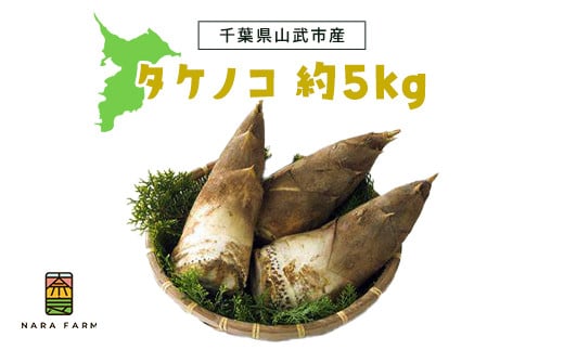 【2025年4月～先行予約】タケノコ 約5kg【 ふるさと納税 人気 おすすめ ランキング 筍 山菜 タケノコ 野菜 やさい お取り寄せ ご当地 特産品 千葉県 山武市 送料無料 】 SMAF003