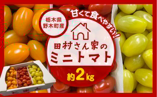 田村さん家のミニトマト約2kg【栃木県野木町産】田村農園《11月上旬-7月下旬に出荷予定(土日祝除く)》トマト ミニトマト 野菜 新鮮 リコピン ビタミン 美容 584729 - 栃木県野木町