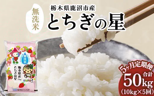 【先行予約】【定期便5ヶ月】令和7年産 栃木県鹿沼市産 とちぎの星 無洗米 10kg（5kg×2袋） | 水稲うるち精米 単一原料米 お米  特A 大粒 ※沖縄・離島への配送不可 ※2025年10月上旬頃より順次発送予定