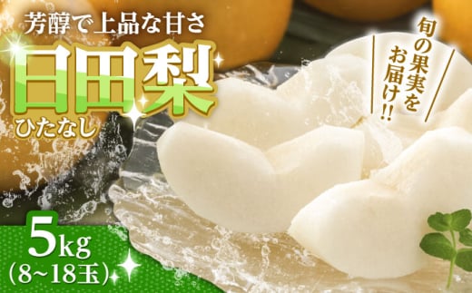 【先行予約・25年7月以降発送】 旬の日田梨お届け便  約5kg(幸水、豊水、秋月、新高、新興)　日田市 / 南国フルーツ株式会社 なし 梨 果物 フルーツ 和梨 こうすい ほうすい [ARET008] 2077275 - 大分県日田市