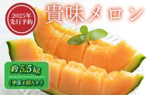 【2025年 先行予約 】 貴味 メロン 約5.5kg 赤肉 めろん melon 甘いメロン タカミメロン デザート ジューシー 産地直送 高級 ブランド 美味しい おいしい 糖度 甘い あまい おすすめ 人気 旬 果物 くだもの フルーツ 国産 季節限定 期間限定 数量限定 ギフト 贈り物 贈答 プレゼント 千葉県 旭市 向後メロン園 kug004