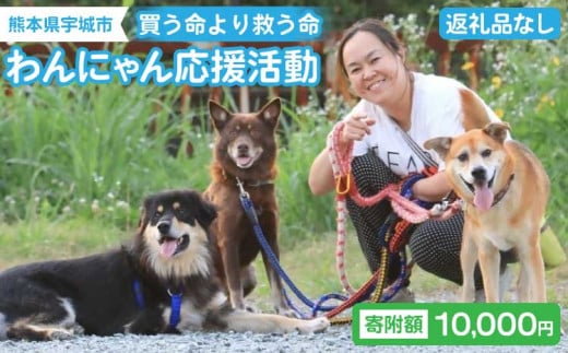 【返礼品なし】 動物支援 動物保護 保護犬 保護猫 犬猫支援 里親支援 寄付 支援 寄附金 愛護活動 ペット 犬 猫 動物 地域支援 買う命より救う命 熊本県 宇城市 わんにゃん応援活動 10,000円