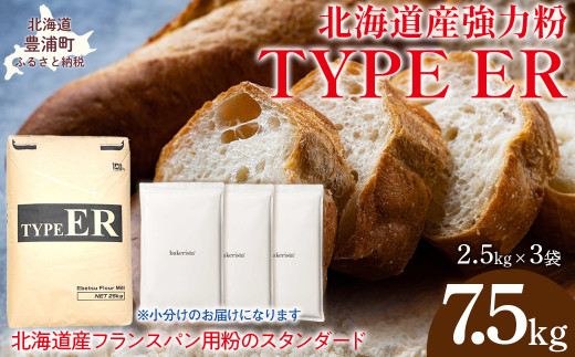 TYPE ER 7.5kg 【 ふるさと納税 人気 おすすめ ランキング 小麦粉 パン 国産 北海道 TYPE ER 自宅用  江別製粉 北海道 豊浦町 送料無料 】 TYUAI019