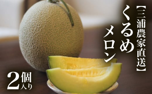 [三浦農家直送]くるめメロン(2個入り)