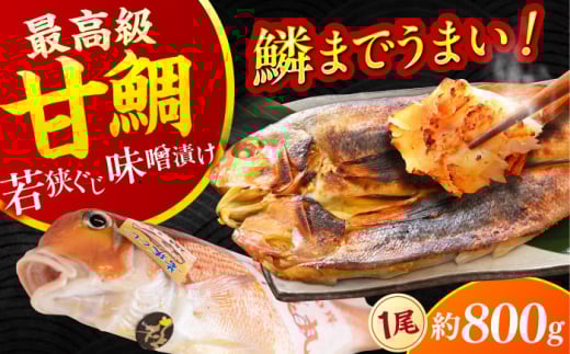 [加福鮮魚]若狭ぐじ 味噌漬け開き 1尾 800g 小浜市 / 加福鮮魚 [配送不可地域:北海道・沖縄・離島] [BFBC002]