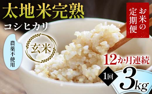お米の定期便 農薬不使用米 太地米完熟 【こしひかり】 玄米3kg×12か月連続 ブランド米 お米 人気 F7X-0411
