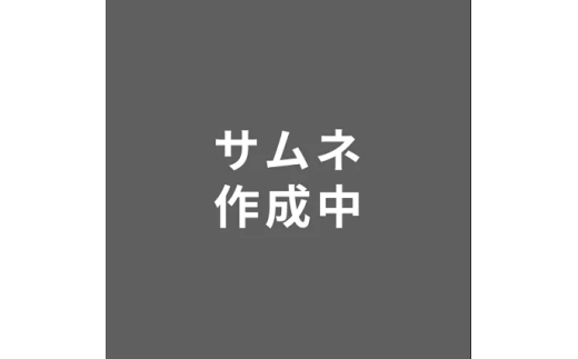 先行予約 ご家庭用 りんご サンふじりんご ご家庭用 無印品 5kg 令和7年産 2025年産 山形県産  フルーツ 果物 sb-risfw5