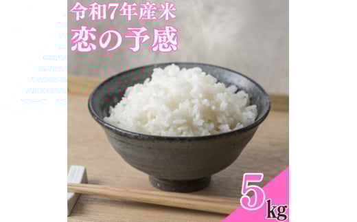 <令和7年産米>恋の予感5kg【1623583】 2113234 - 大分県日出町