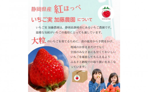 アイテムID:407989の画像2枚目