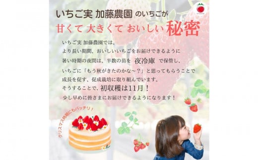アイテムID:407989の画像3枚目