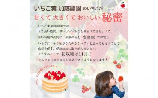アイテムID:407989の画像3枚目