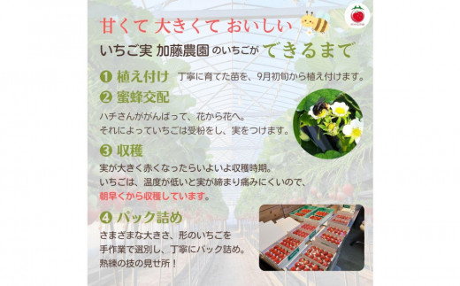 アイテムID:407989の画像4枚目