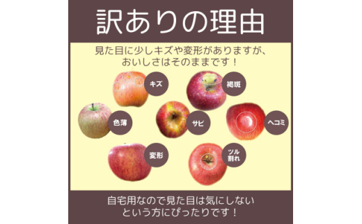 青森県青森市のふるさと納税 ＜青森市産＞糖度13度以上保証!訳あり王林家庭用約10kg【1436002】