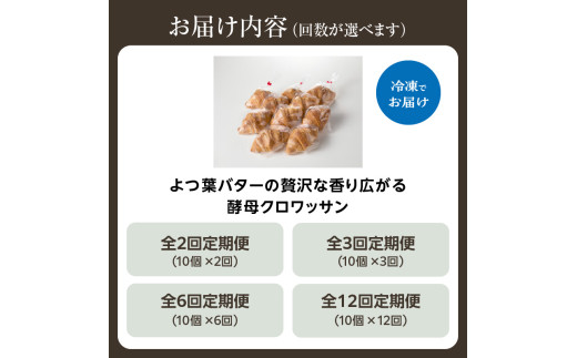 【定期便】よつ葉バターの贅沢な香り広がる♪酵母クロワッサン１０個 