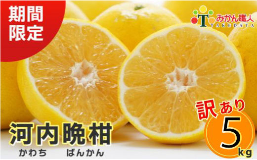 【訳あり】 みかん職人の河内晩柑 5kg  先行予約 (なくなり次第終了) 河内晩柑 果物 柑橘 みかん 愛南ゴールド 蜜柑 グレープフルーツ ゼリー ジュース アイス 果物 フルーツ 健康 美容 ビタミン クエン酸 訳あり サイズミックス 規格外 送料無料 5kg 7000円 武田屋