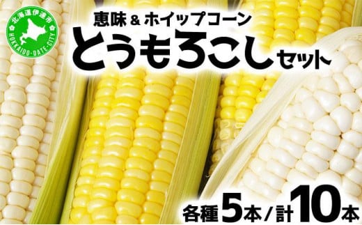 [5525-0497] 北海道 朝もぎ とうもろこし 恵味 ホイップコーン 各5本 計10本 L-LL サイズ 黄色 白色 トウモロコシ 黄 白 とうきび コーン 旬 完熟 甘い お取り寄せ 産地直送 北海道産 1338910 - 北海道伊達市