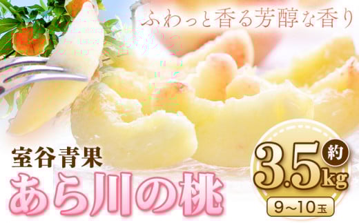 【予約受付】あら川の桃 約3.5kg 室谷青果 《2025年6月下旬-8月中旬頃出荷》 和歌山県 紀の川市