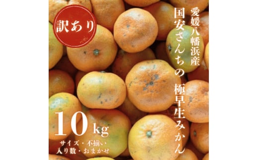 ＜創業85年 親子4代 愛媛みかん 一筋＞愛媛八幡浜産 訳あり極早生みかん 10kg＜D20-47＞【1594916】 2053116 - 愛媛県八幡浜市