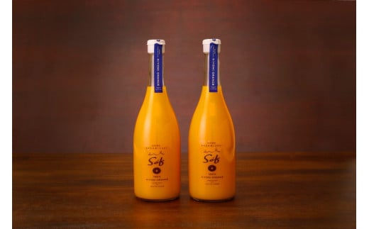 saito orange farm 清見720ml×2本セット ※離島への配送不可 【 ふるさと納税 人気 おすすめ ランキング ジュース みかん ミカン 蜜柑 柑橘 清見 ミカンジュース みかんジュース フルーツ 果物 Saito Orange Farm 愛媛県産 愛媛県 伊方町 送料無料 】 IKTAQ025