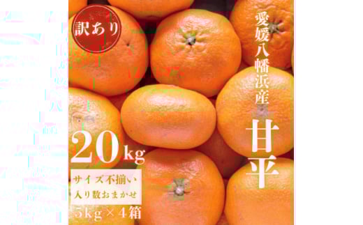 ＜愛媛が誇る 高級みかん 希少品種＞訳あり 甘平 (かんぺい) 20kg＜H20-69＞【1620340】 2105980 - 愛媛県八幡浜市