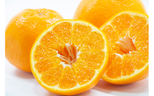 【先行予約】Saito Orange Farmのはるみ5kg ※離島への配送不可（2026年2月上中旬頃より順次発送） 【 ふるさと納税 人気 おすすめ ランキング みかん ミカン 蜜柑 柑橘 はるみ フルーツ 果物 産地直送 Saito Orange Farm 愛媛県産 愛媛県 伊方町 送料無料 】 IKTAQ016