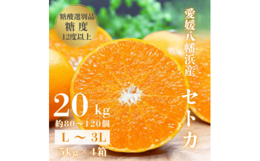 ＜みかんの大トロ＞糖度12.0以上 酸1.4以下 糖酸選別品 愛媛セトカ 20kg＜H20-78＞【1620333】 2107194 - 愛媛県八幡浜市