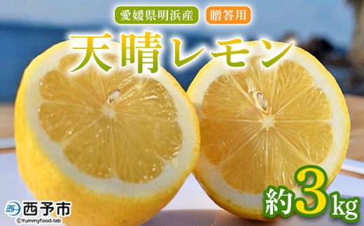 ＜天晴レモン 贈答用 約3kg＞ フルーツ 果物 くだもの レモン れもん 檸檬 柑橘 プレゼント 贈り物 お返し お礼 ギフト アレンジ 料理 国産 国産レモン 愛媛県産 特産品 株式会社笑丸 愛媛県 西予市【常温】 2116584 - 愛媛県西予市