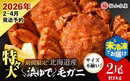 【2026年発送予約】チルドでお届け！ 浜茹で毛ガニ特々大２尾（不揃い合計約2kg） 〈福士水産〉
