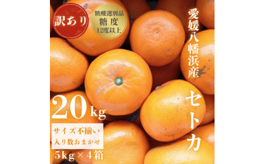 ＜みかんの大トロ＞糖度12.0以上酸1.4以下 糖酸選別品 訳あり愛媛セトカ20kg＜H20-76＞【1620330】