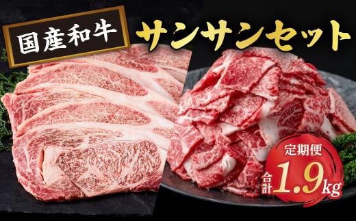 牛肉サンサンセット【定期便全2回】 2113281 - 鹿児島県大崎町
