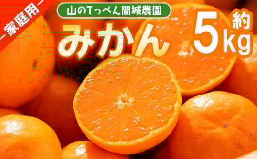 みかん 5kg 家庭用 訳あり 温州山のてっぺん間城農園のみかん  - フルーツ 柑橘 みかん 数量限定 期間限定 果物 くだもの ms-0074 425450 - 高知県香南市