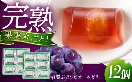 【お中元ギフト対象】ゼリー 瀬戸内産 沼隈ぶどうピオーネゼリー 12個入り ゼリー スイーツ デザート おやつ 果物 お菓子 スイーツ 甘い 広島県福山市/有限会社勉強堂 [BAFL005] 404832 - 広島県福山市