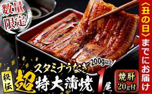 [丑の日までに配送][数量限定]鹿児島県産!秘伝の特上スタミナうなぎ超特大蒲焼き1尾[200g以上!]焼肝20g付き! a1-101-us