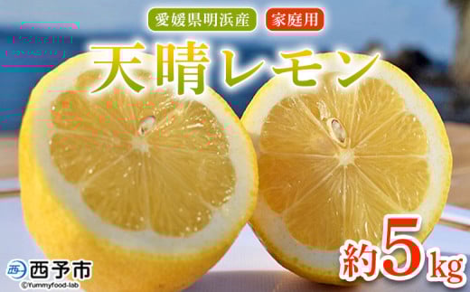 ＜天晴レモン ご家庭用 約5kg＞ フルーツ 果物 くだもの レモン れもん 檸檬 柑橘 訳あり わけあり ワケアリ 自宅用 料理 国産 国産レモン 愛媛県産 特産品 株式会社笑丸 愛媛県 西予市【常温】 2116581 - 愛媛県西予市