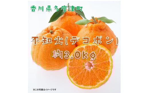 不知火(デコポン)約3kg[予約受付中!令和8年2月中旬より発送][A-42]