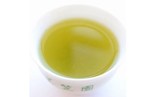 深蒸し掛川茶 掛川の城 セット500g×2袋(1kg)【1091796】
