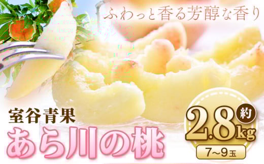 【予約受付】あら川の桃 約2.8kg 室谷青果 《2025年6月下旬-8月中旬頃出荷》 和歌山県 紀の川市